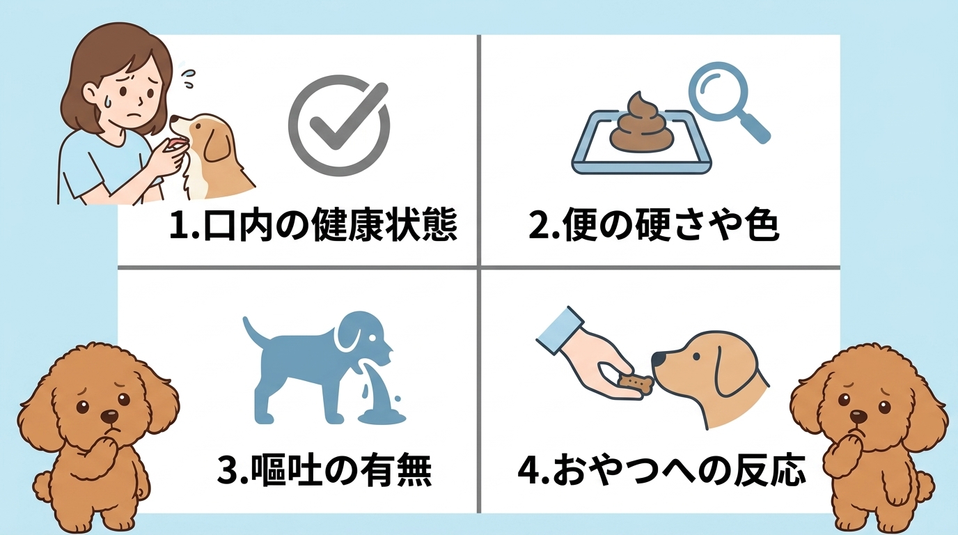 高級フードを食べない犬の体調を見極める4つの項目